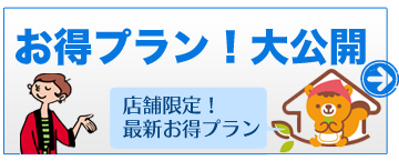 お得プラン大公開