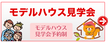 見るだけ見学会